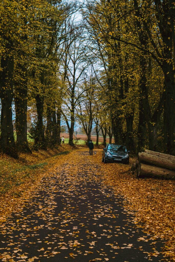 Paris in the Fall: Cooler Days, Cozy Cafés &amp; Fewer Crowds