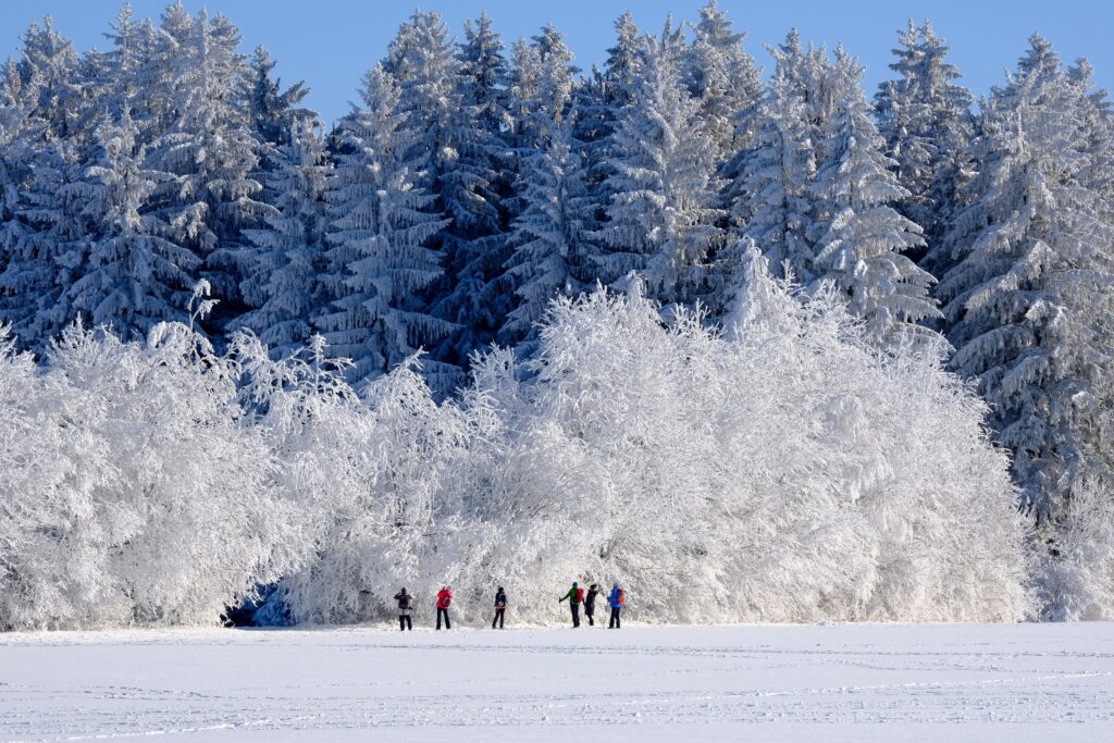Paris in Winter? Here’s Why You Should Go.